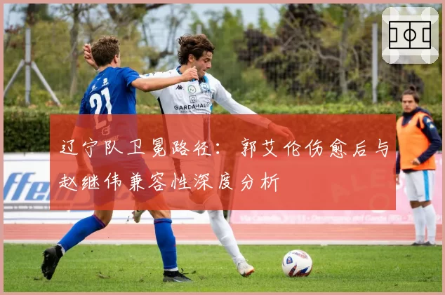 辽宁队卫冕路径：郭艾伦伤愈后与赵继伟兼容性深度分析